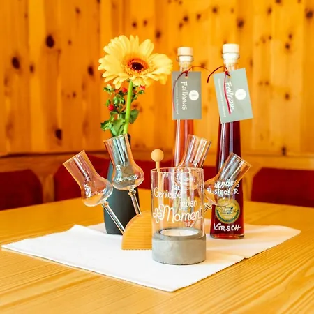 Oeko-appartements Fallhaus Appartamento Forstau (Salzburg)