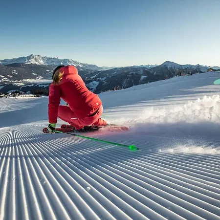 Appartamento Oeko-appartements Fallhaus Forstau (Salzburg)