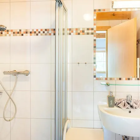 Daire Oeko-appartements Fallhaus Forstau (Salzburg)