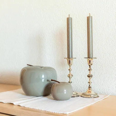 Daire Oeko-appartements Fallhaus Forstau (Salzburg)